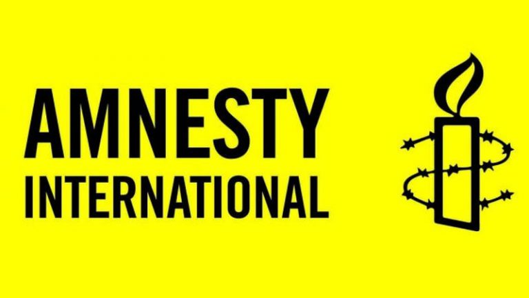 Amnesty International Moldova обеспокоена повышенным риском нарушения избирательного законодательства