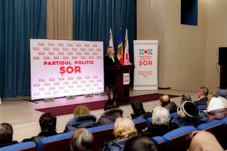 (DOC) Кандидат от партии «Шор» без зарплаты, недвижимости и даже пособий. Чем владеет Светлана Иванова, кандидат от округа №46