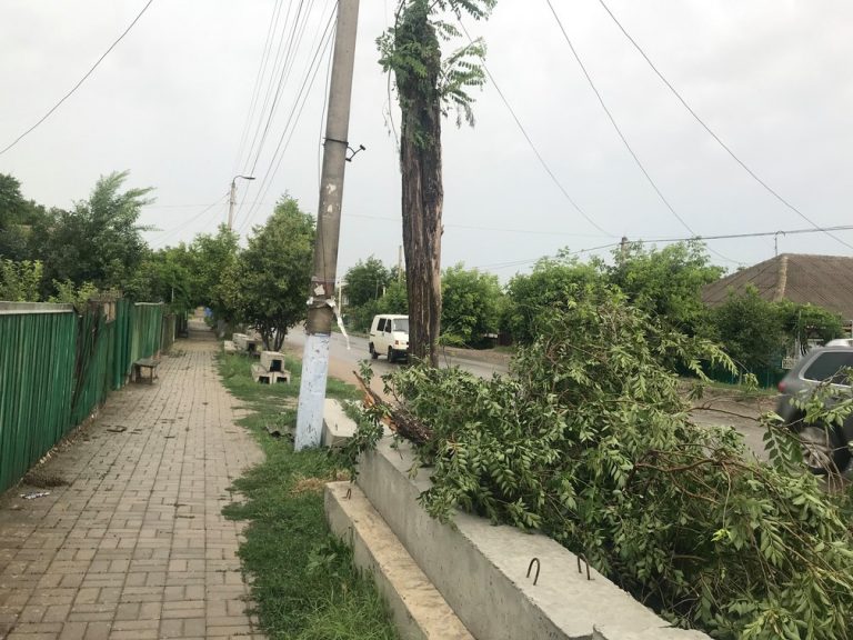 Из-за сильного ветра водителей попросили не оставлять автомобили под деревьями