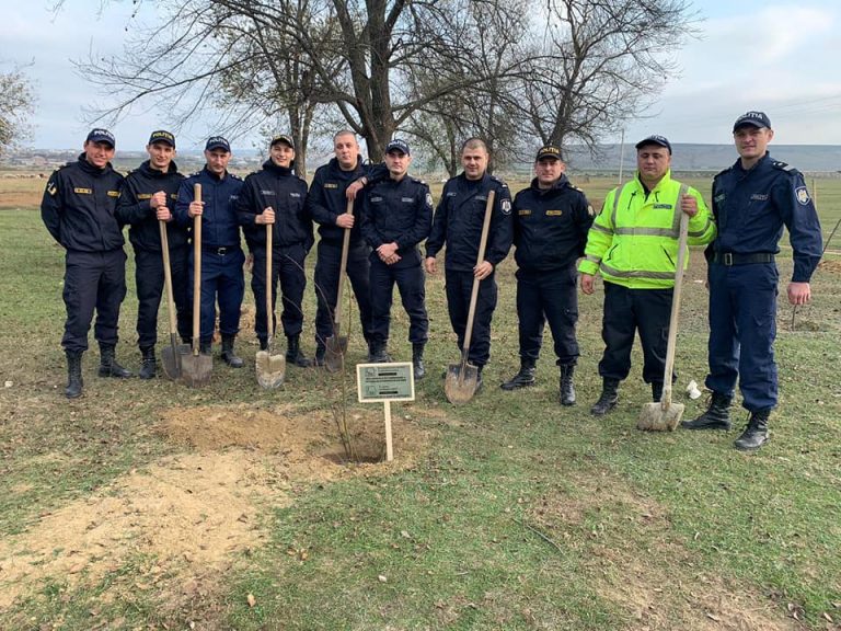 Посажено дерево в память о каждом погибшем в ДТП. Полиция провела акцию по всей стране