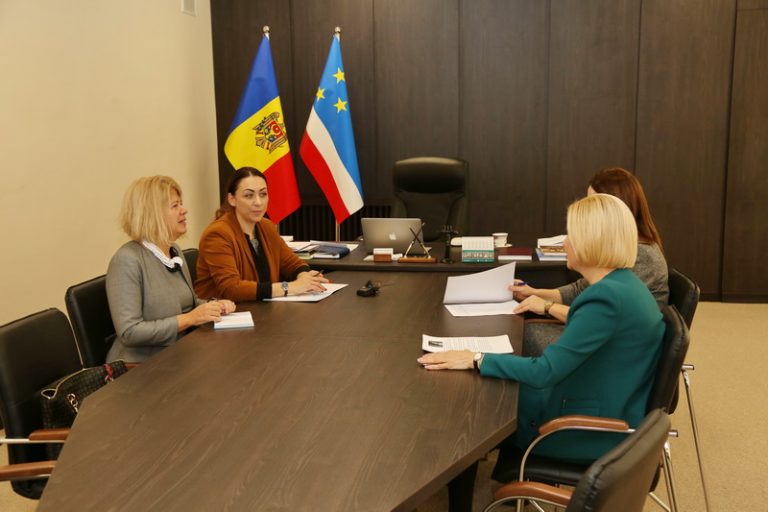 Послы трех государств встретились с Ириной Влах. Что они обсуждали?