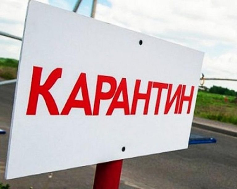 Граждане РМ должны будут оставаться на карантине при въезде в Румынию