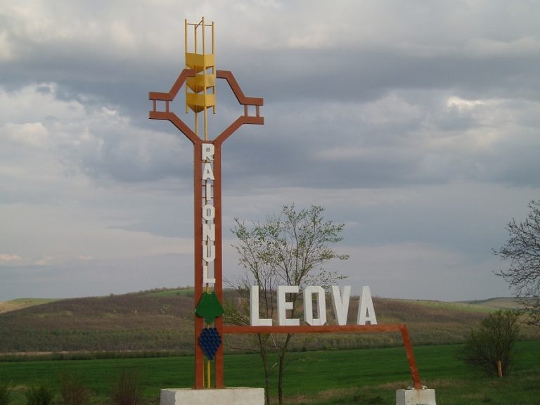 Ковид-19. Город Леова в красной зоне. Мероприятия в честь Дня независимости отменены
