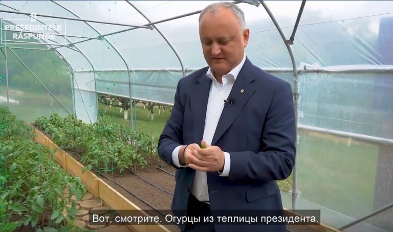 Agora: Ответ Администрации президента относительно расходов на кур и огурцы Додона в Кондрице