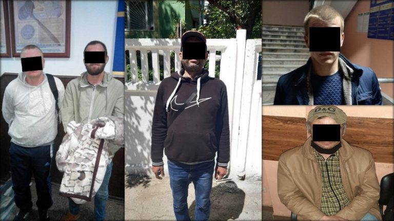 Полиция задержала 54 человека, находящихся в розыске. В их числе 18 государственных должников