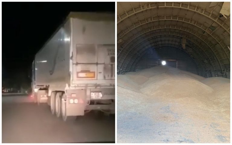 (DOC) Возбуждено ли уголовное дело о хищении пшеницы из резервов Гагаузии? Разные ответы прокуратуры в течении двух дней