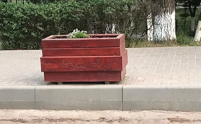 (ФОТО) В городе Вулканешты неизвестные выкорчевали цветы из вазонов
