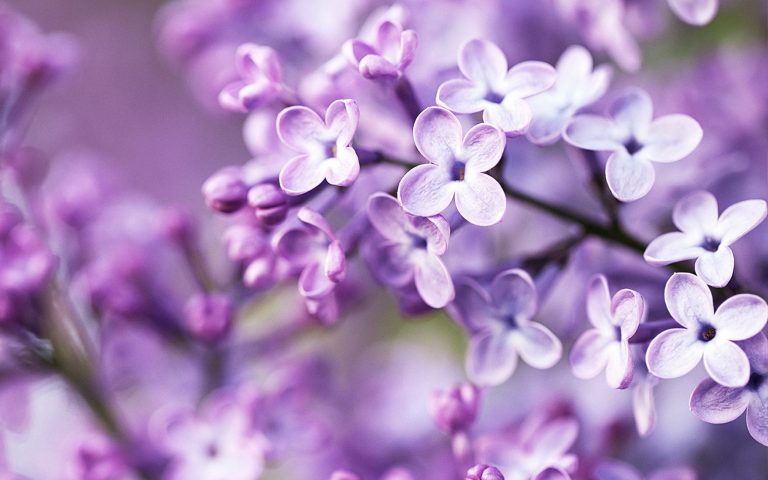 Прогноз погоды на 5 апреля