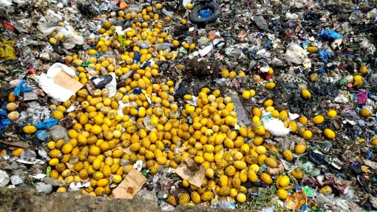 (ФОТО) ANSA уничтожила около двух тысяч кг дыни с высоким уровнем нитратов. Партия могла попасть на рынки
