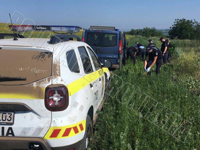 (ФОТО/ВИДЕО) Пограничная полиция обнаружила еще 3 поля с коноплей и каннабисом
