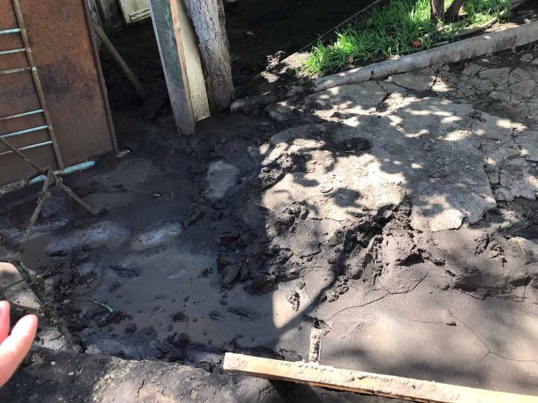 (ФОТО) После дождей в Твардице затопило десятки домов, погибли домашние животные