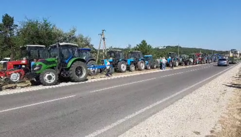 протест