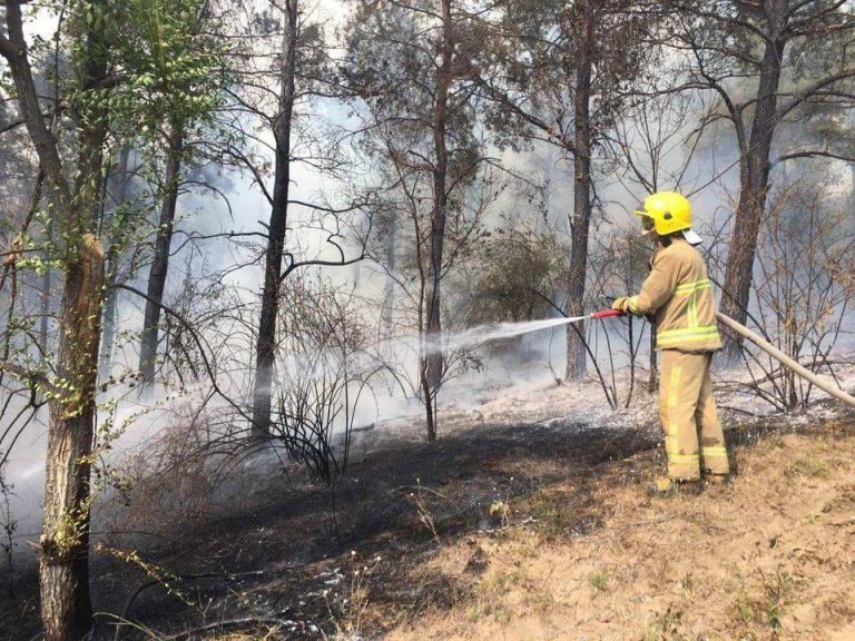(ФОТО) За последние сутки спасатели ликвидировали 53 пожара в Молдове