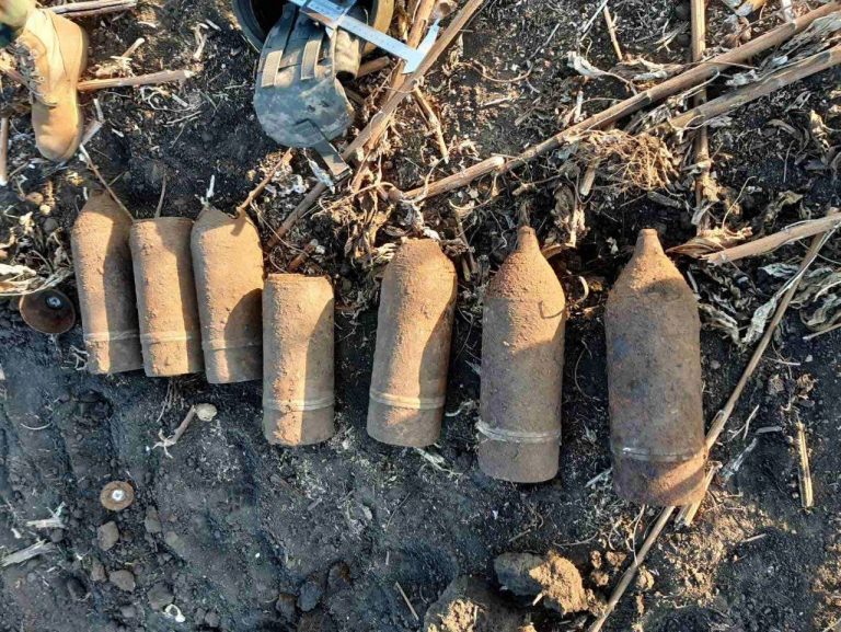 (Фото) В районе Анений Ной нашли арсенал боеприпасов времён Второй мировой войны