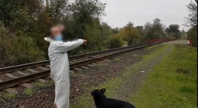 (ВИДЕО) Подозреваемый рассказал и показал полиции как совершил преступление. Ему грозит до 15 лет