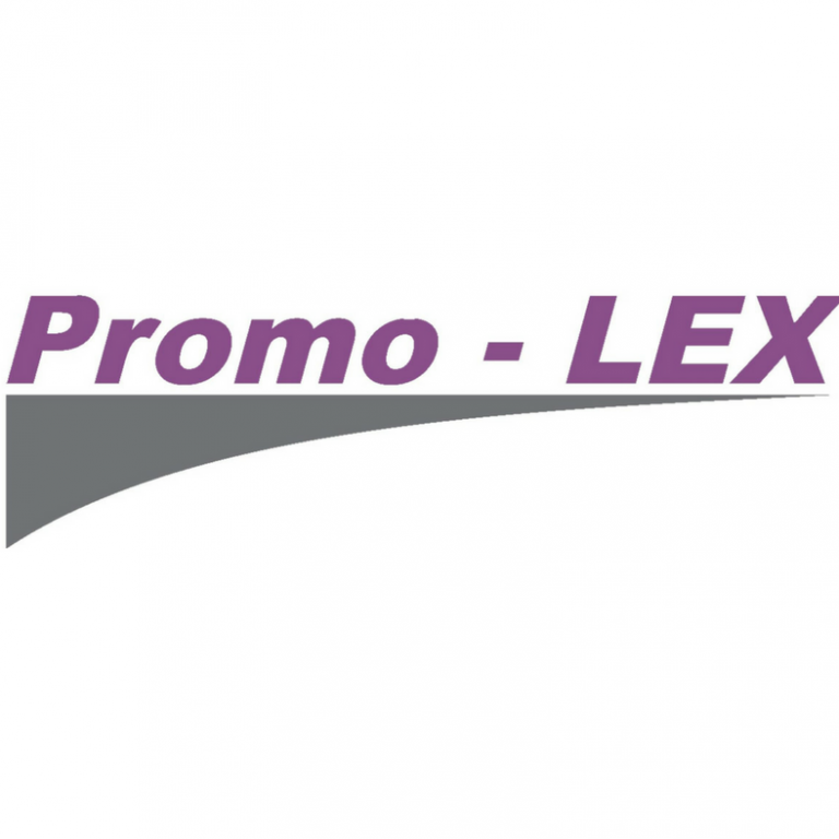 (LIVE)  Миссия Promo-LEX по Наблюдению за новыми президентскими выборами выступает с предварительными результами