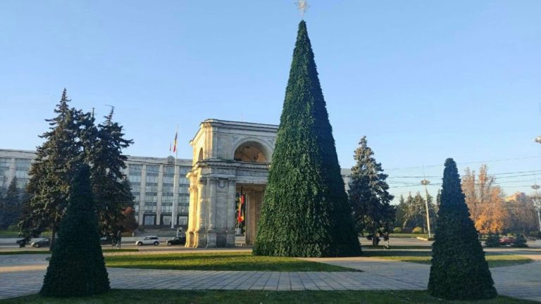 В Кишиневе установили новогоднюю елку. Открытие убранства к зимним праздникам состоится 1 декабря