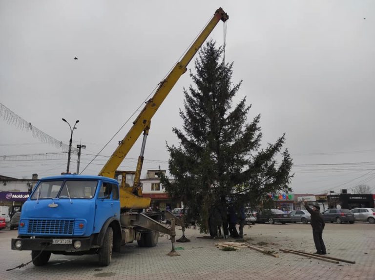 В Комрате установили новогоднюю ель высотой 14 метров
