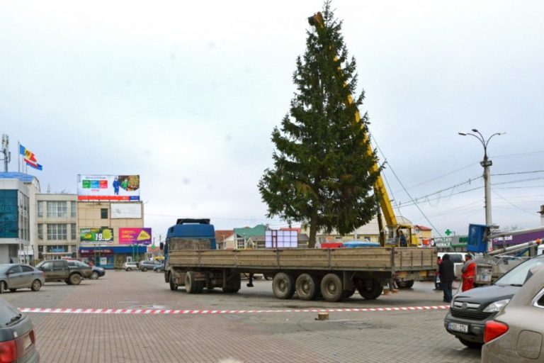 Известно, когда в Комрате установят новогоднюю ель