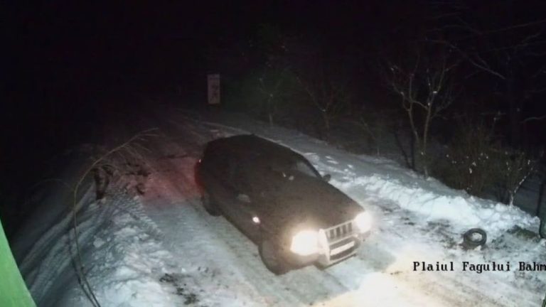 В заповедник Plaiul Fagului ворвались неизвестные. Они напали на охранника и устроили охоту на животных