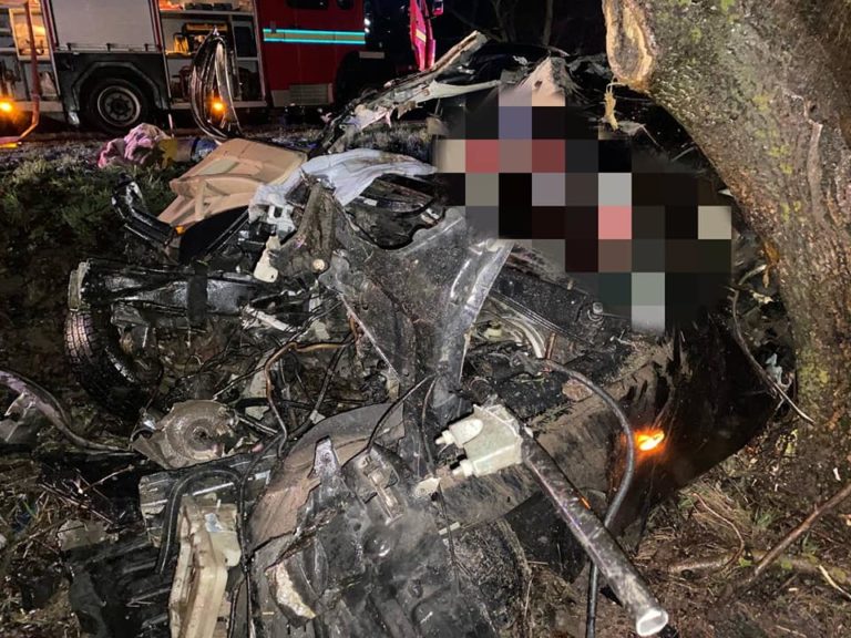 Ужасное ДТП в Ниспоренском районе: Авто врезалось в дерево, скончались 16-летние подростки