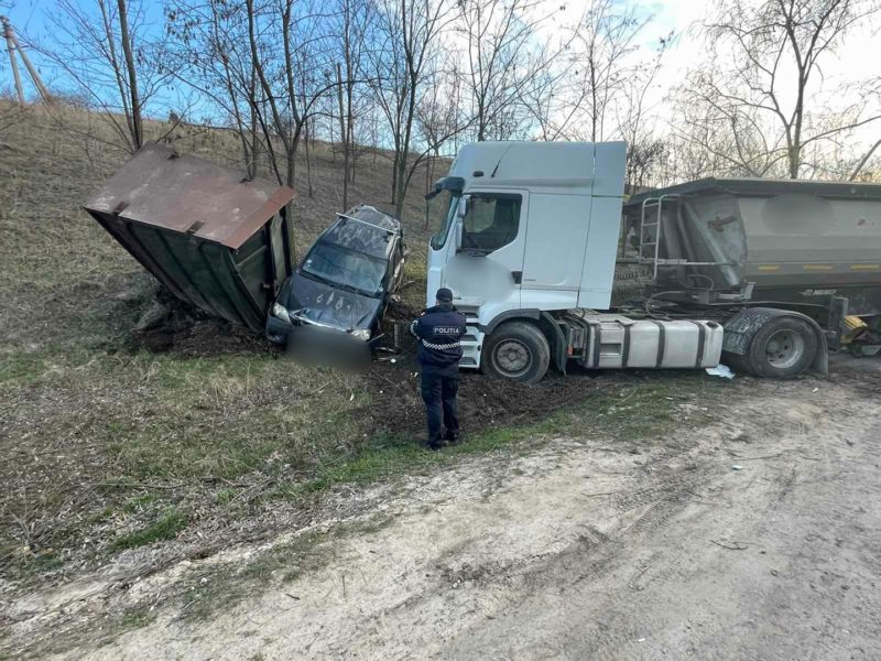 Воробей врезался в машину