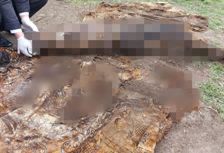 Жуткая находка в Единцах! Мужчина, пропавший три года назад, был найден похороненным во дворе
