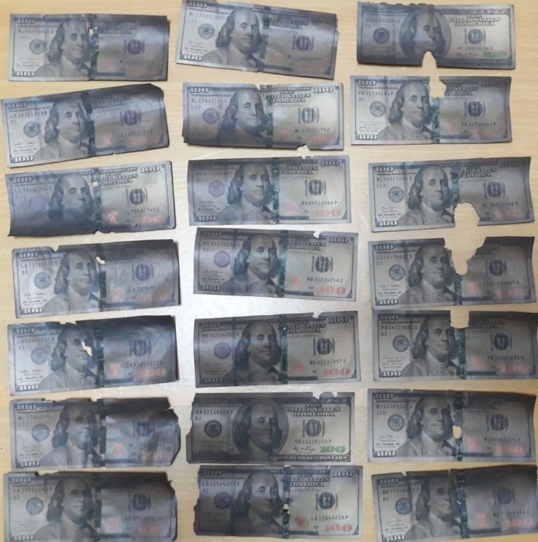 (Фото) Украли 8000 долларов и спрятали их в печь: часть купюр сгорела 