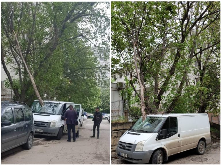 Царапнул веткой машину