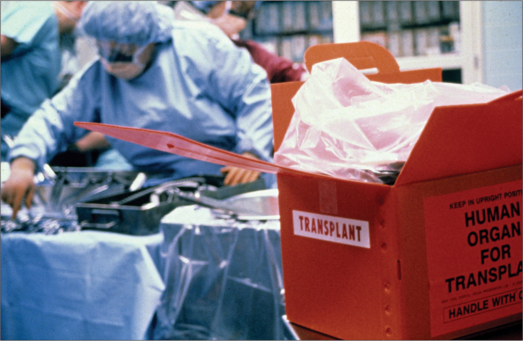 Изъятие органов у живого. Трансплантация органов и тканей.