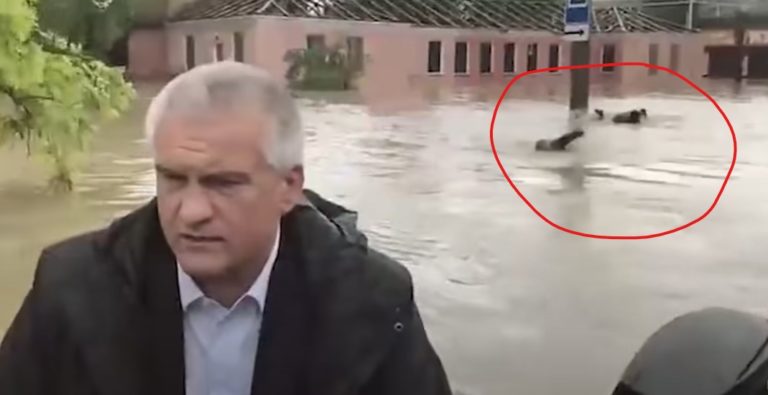 (ВИДЕО) Глава аннексированного Крыма осмотрел затопленную Керчь на лодке. За ним плыли кролем трое сотрудников МЧС