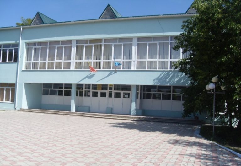 В каких лицеях Гагаузии проводят капитальный ремонт и сколько средств выделено из центрального бюджета?