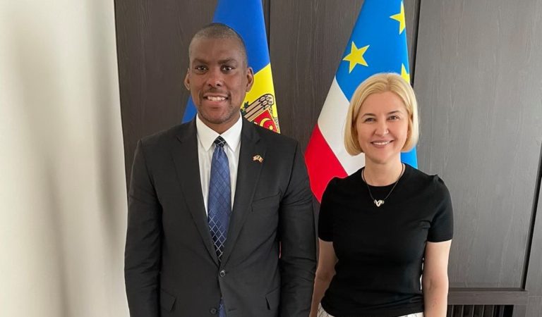 Ирина Влах рассказала послу США о недавнем визите в Страсбург 