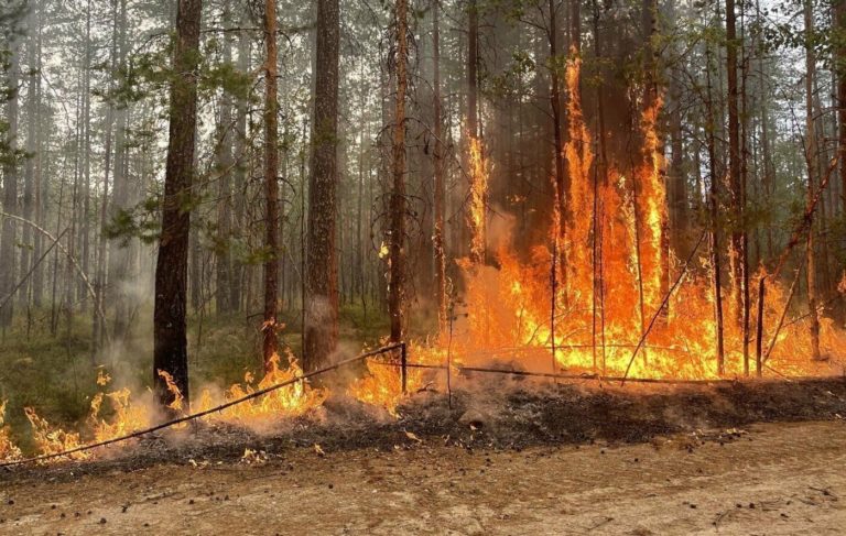 В Карелии горит свыше 4000 гектаров леса, эвакуированы местные жители
