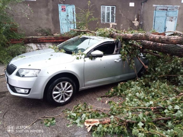(ФОТО) Два авто в Кишиневе смяло под упавшими деревьями