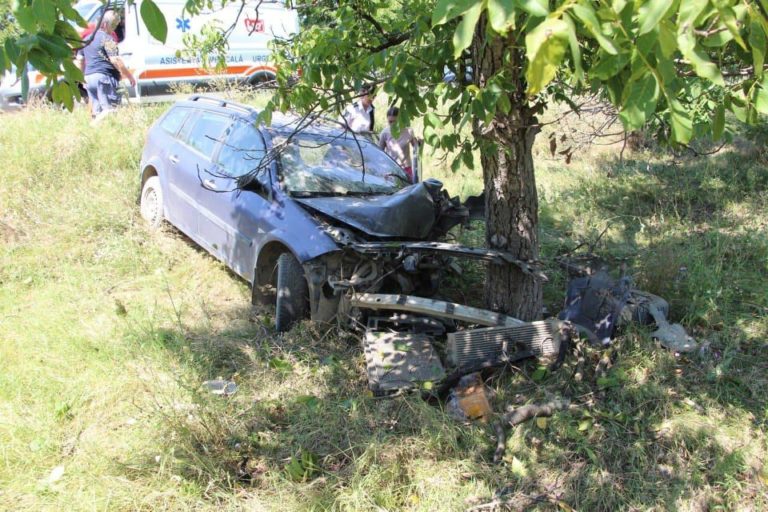 ДТП в Бешалме. Водитель не справился с управлением и въехал в дерево. Женщина и двое детей доставлены в больницу