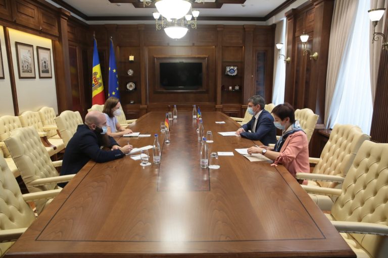 Германия предоставит парламентскую техническую помощь. Встреча Гросу и посла Германии в РМ