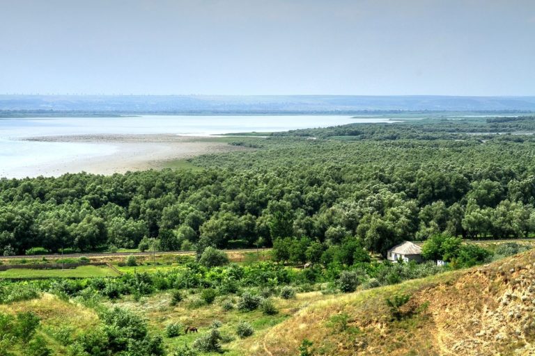 Биосферный заповедник «Нижний Прут», входящий во всемирную сеть ЮНЕСКО, будет действовать на основании Положения, утвержденного Правительством