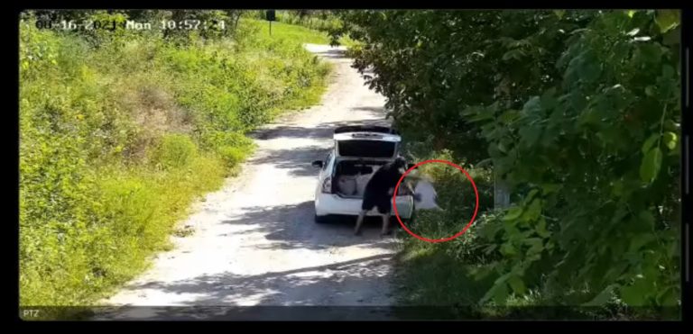 (ФОТО/ВИДЕО) Несколько мешков с мусором в неположенном месте оставил житель столицы. Полиция задержала нарушителя