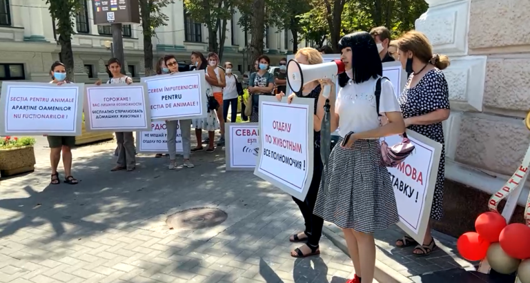 «Чебан, ты не рыба». Протест у примэрии Кишинева после назначения Возного начальником Управления по контролю и защите животных