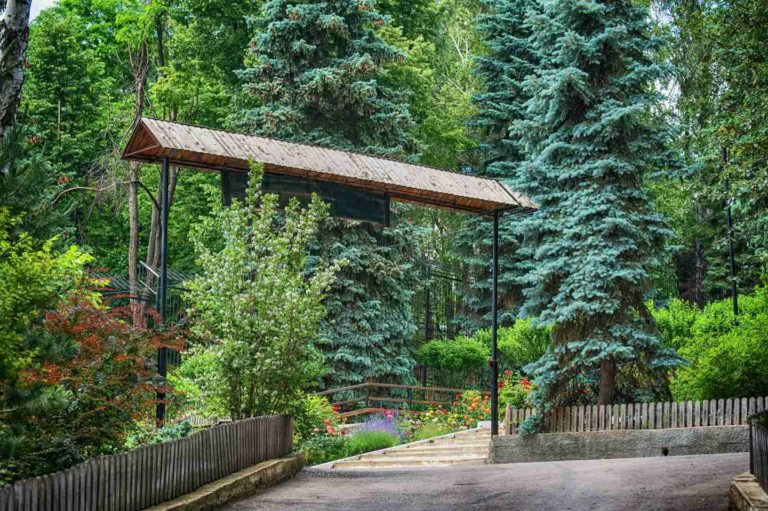 Кишиневский зоопарк закрывается на 10 дней