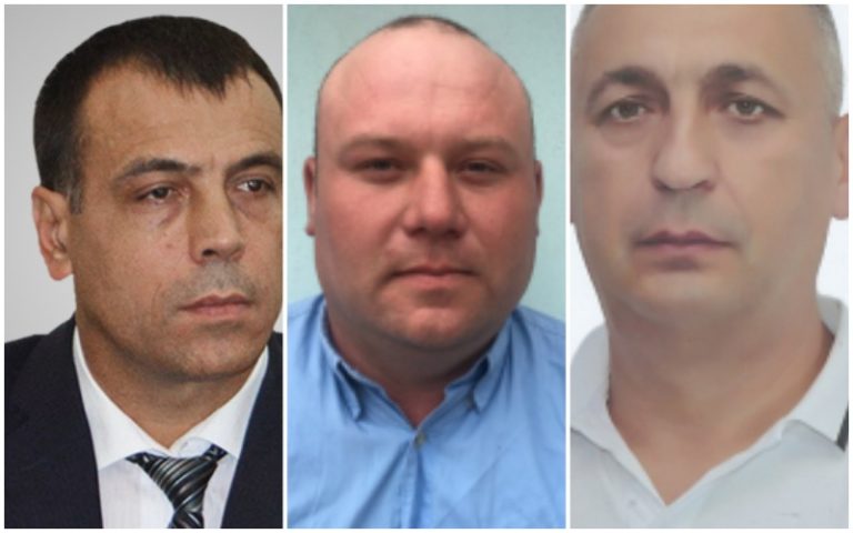 Гараж за 1 лей. Что задекларировали кандидаты в депутаты НСГ от округа №33, Русская Киселия