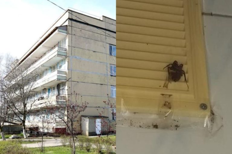 ВИДЕО: Детская реанимация в Комрате закрыта. Врачей нет, в отделении тараканы. Возмущенная мать обратилась к Ирине Влах