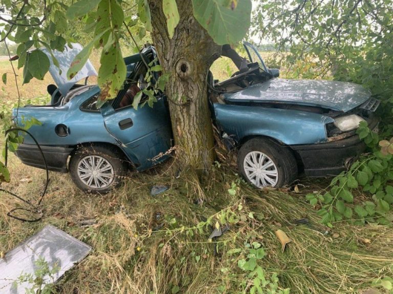 Авария в районе села Ферапонтьевка. Мужчина умер, после того как автомобиль врезался в дерево
