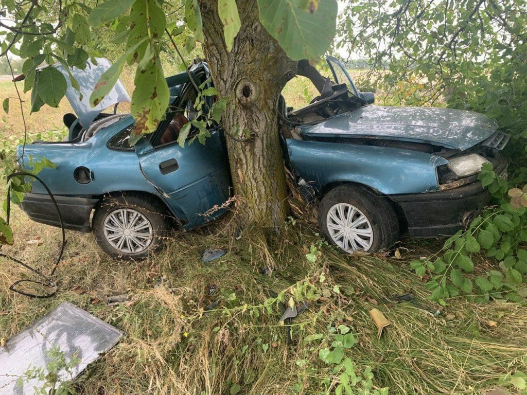 Авария в районе села Ферапонтьевка. Мужчина умер, после того как автомобиль  врезался в дерево - Nokta