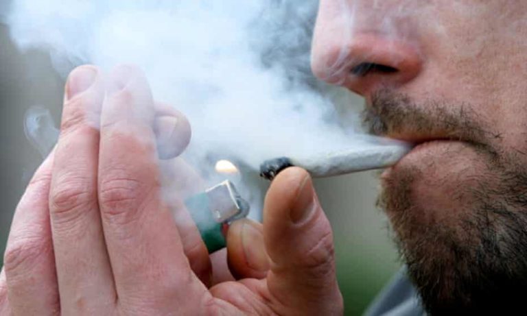 Люксембург первым в Европе легализует выращивание и потребление каннабиса