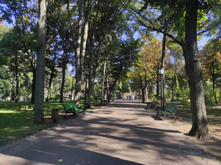 В Молдове от covid-19 лечатся более 9 500 человек