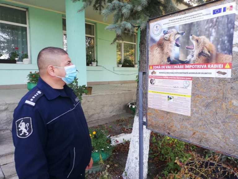 В Республике Молдова началась кампания по вакцинации диких животных от бешенства