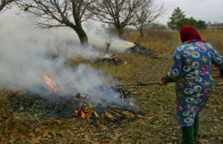 Сжигание листьев и растительных отходов загрязняет воздух и карается штрафом