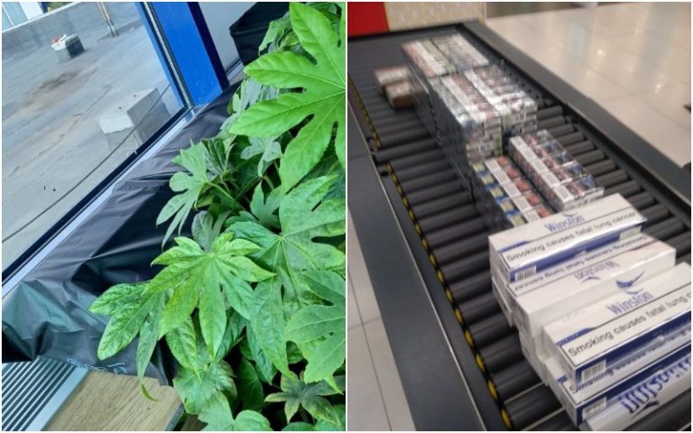 В Кишиневском аэропорту провалилась попытка контрабанды сигарет. Сигареты спрятали за цветочными горшками